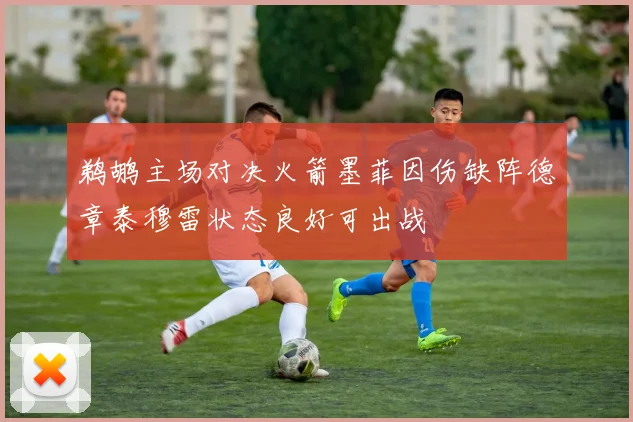 鹈鹕主场对决火箭墨菲因伤缺阵德章泰穆雷状态良好可出战